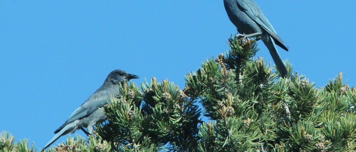 Beylikdüzü hurdacı — hurda alım ve geri dönüşüm hizmeti